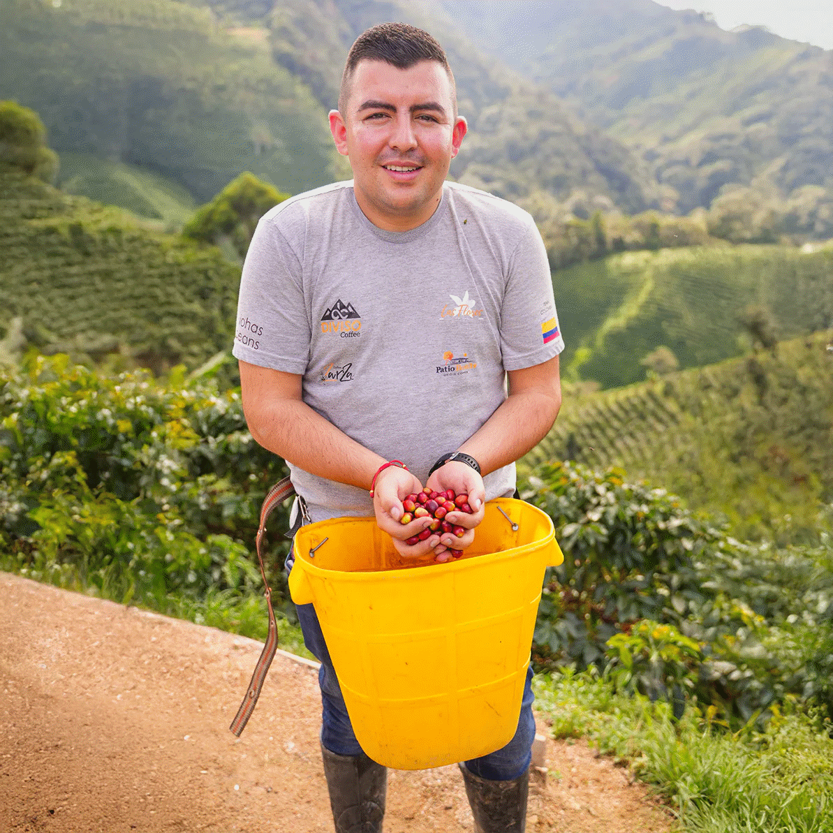 Chiroso lavé – Las Flores, Jhoan Vergara (Colombie) - L'autre café