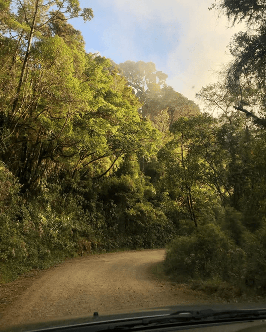 Café et agriculture régénératrice - L'autre café