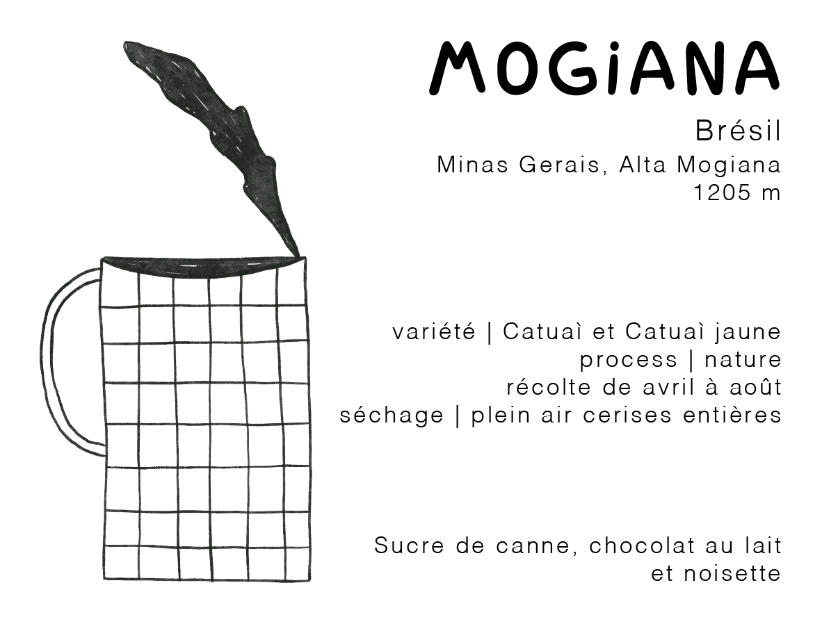 Étiquette du café Mogiana avec illustration de tasse et informations du lot