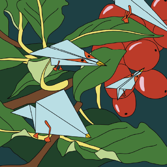 Illustration de l’étiquette Vila Boa avec oiseaux en origami, feuilles et cerises de café