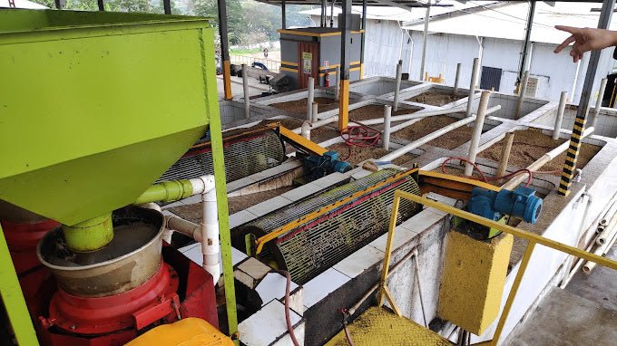 Ceiba (Honduras) - L'autre café