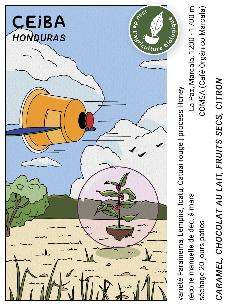 Ceiba (Honduras) - L'autre café