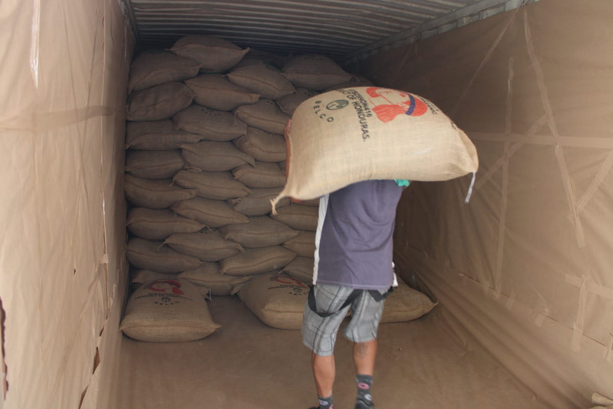 Loading COMSA coffee bags for export from Marcala, Honduras.