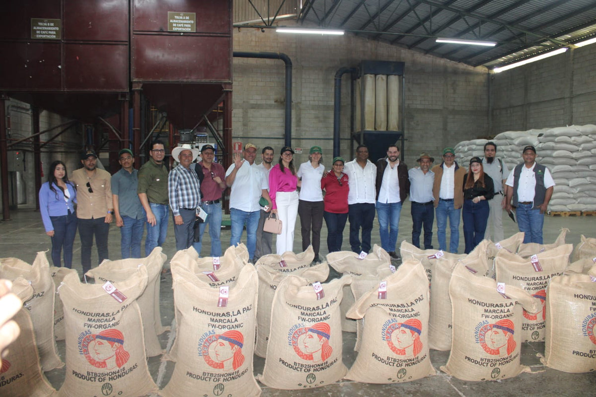 COMSA team and partners inside coffee-processing facilities in Marcala, Honduras.