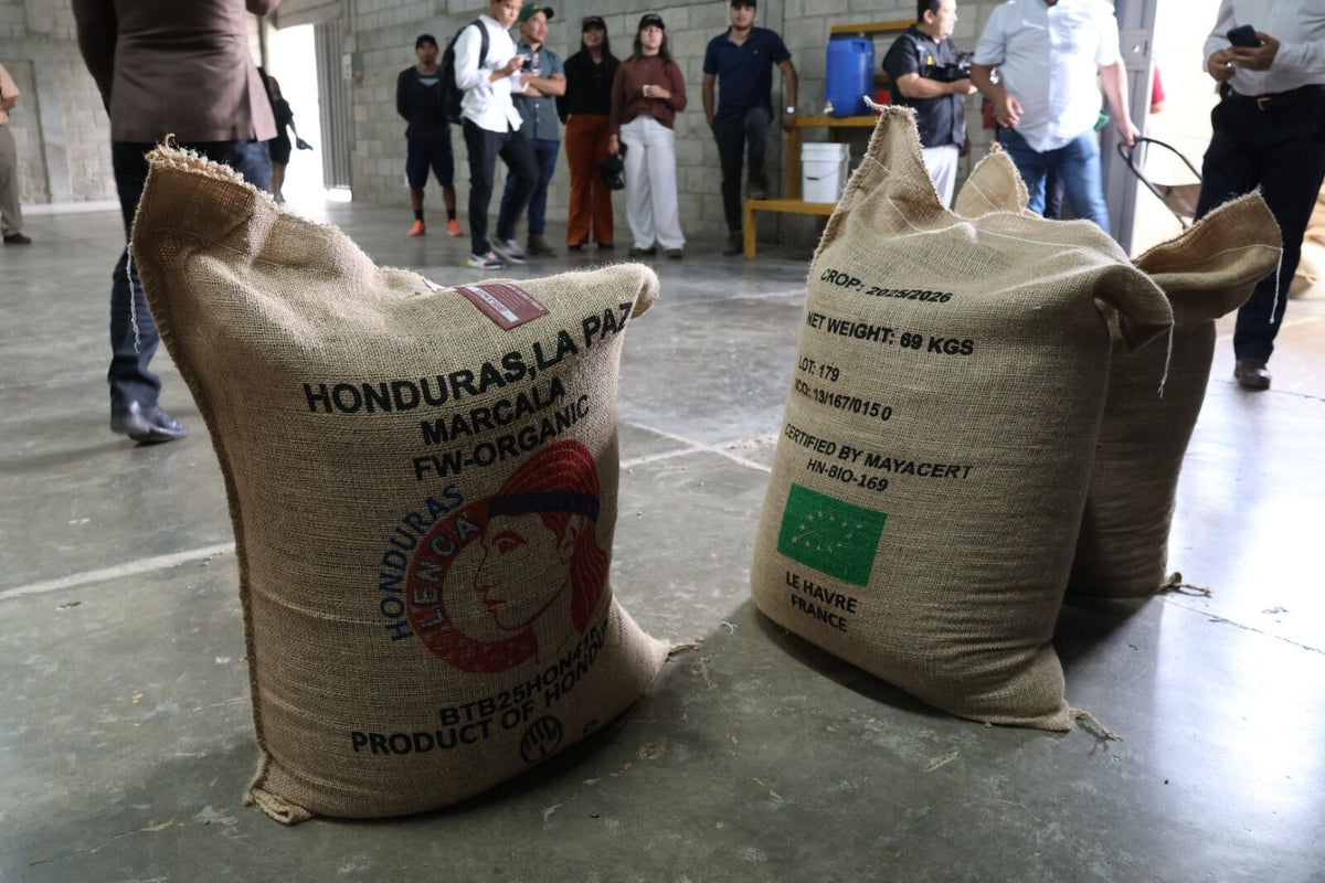 Bags of coffee from Marcala grown using organic farming practices at COMSA facilities in Honduras.