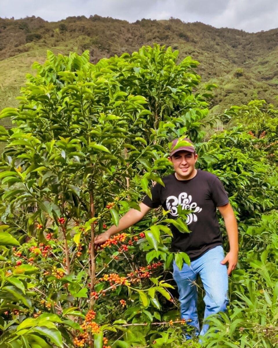 Chiroso lavé – Las Flores, Jhoan Vergara (Colombie) - L'autre café