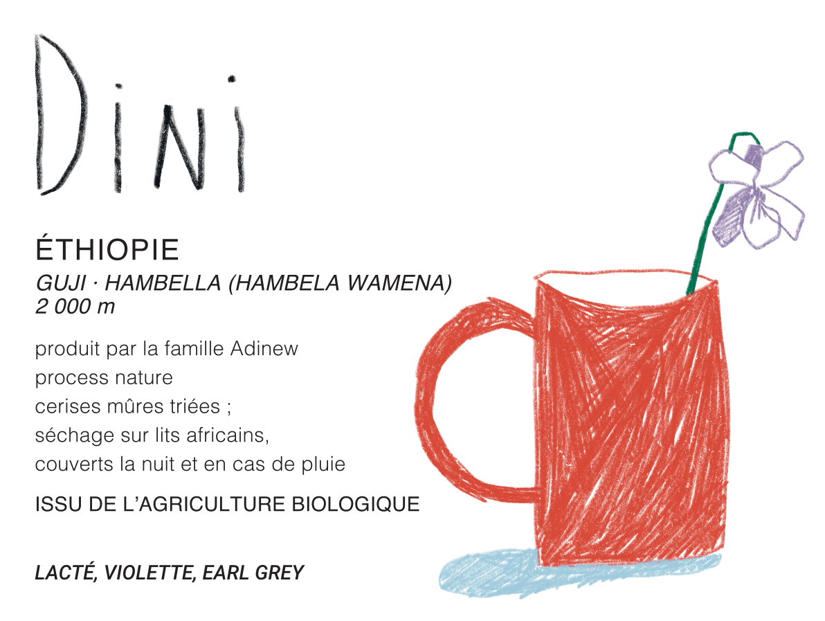 Dini (Éthiopie) - L'autre café