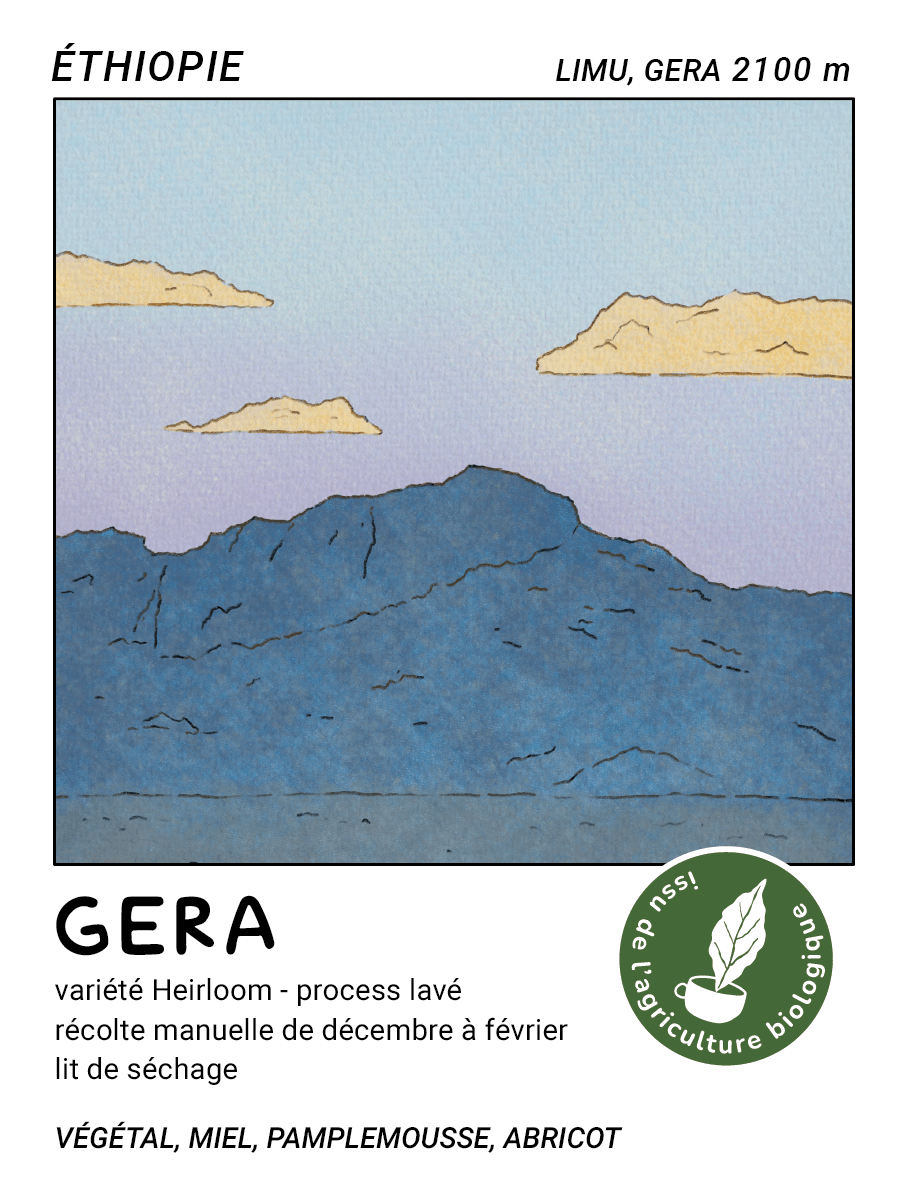 Gera (Limmu, Éthiopie) - L'autre café