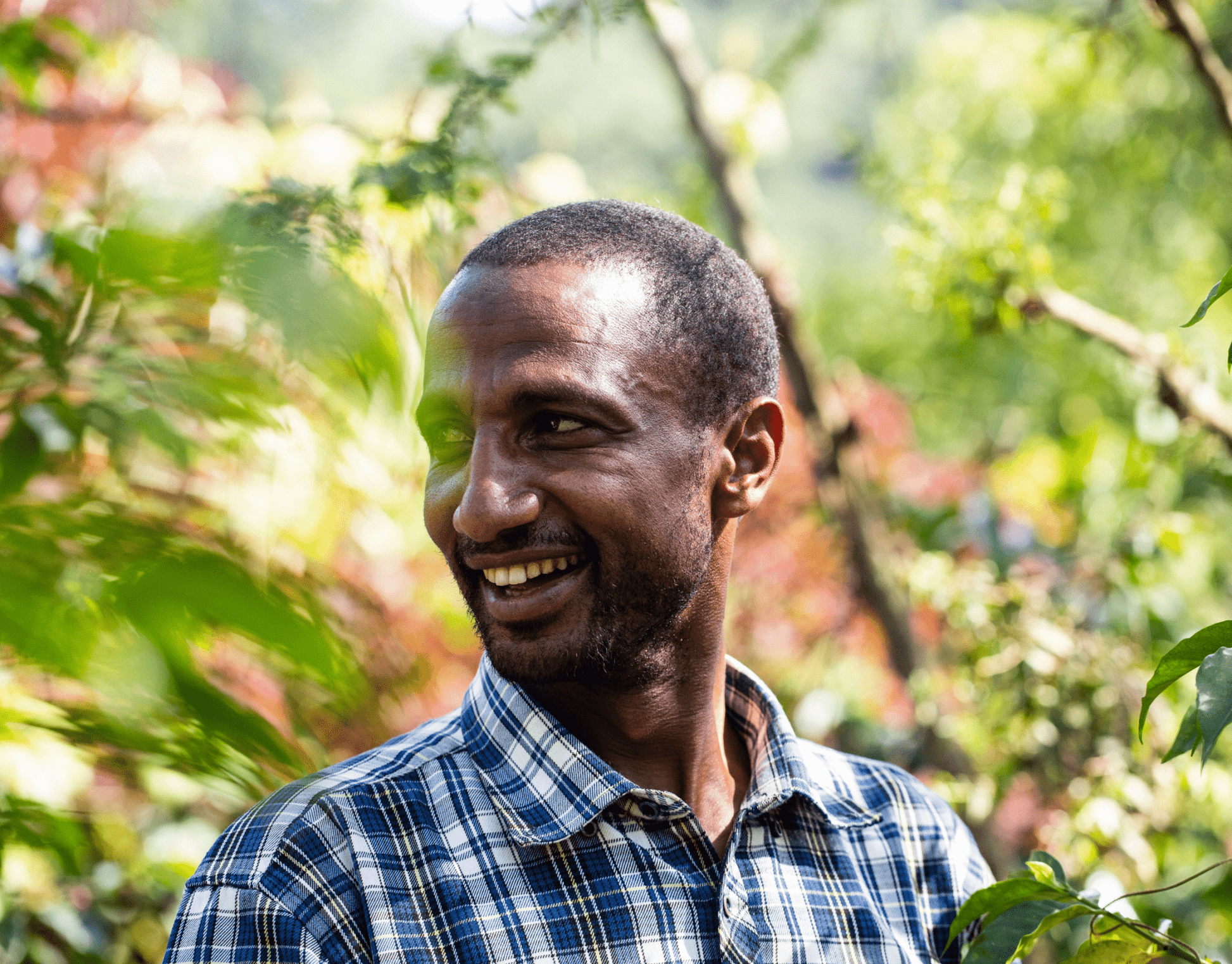 Gera (Limmu, Éthiopie) - L'autre café