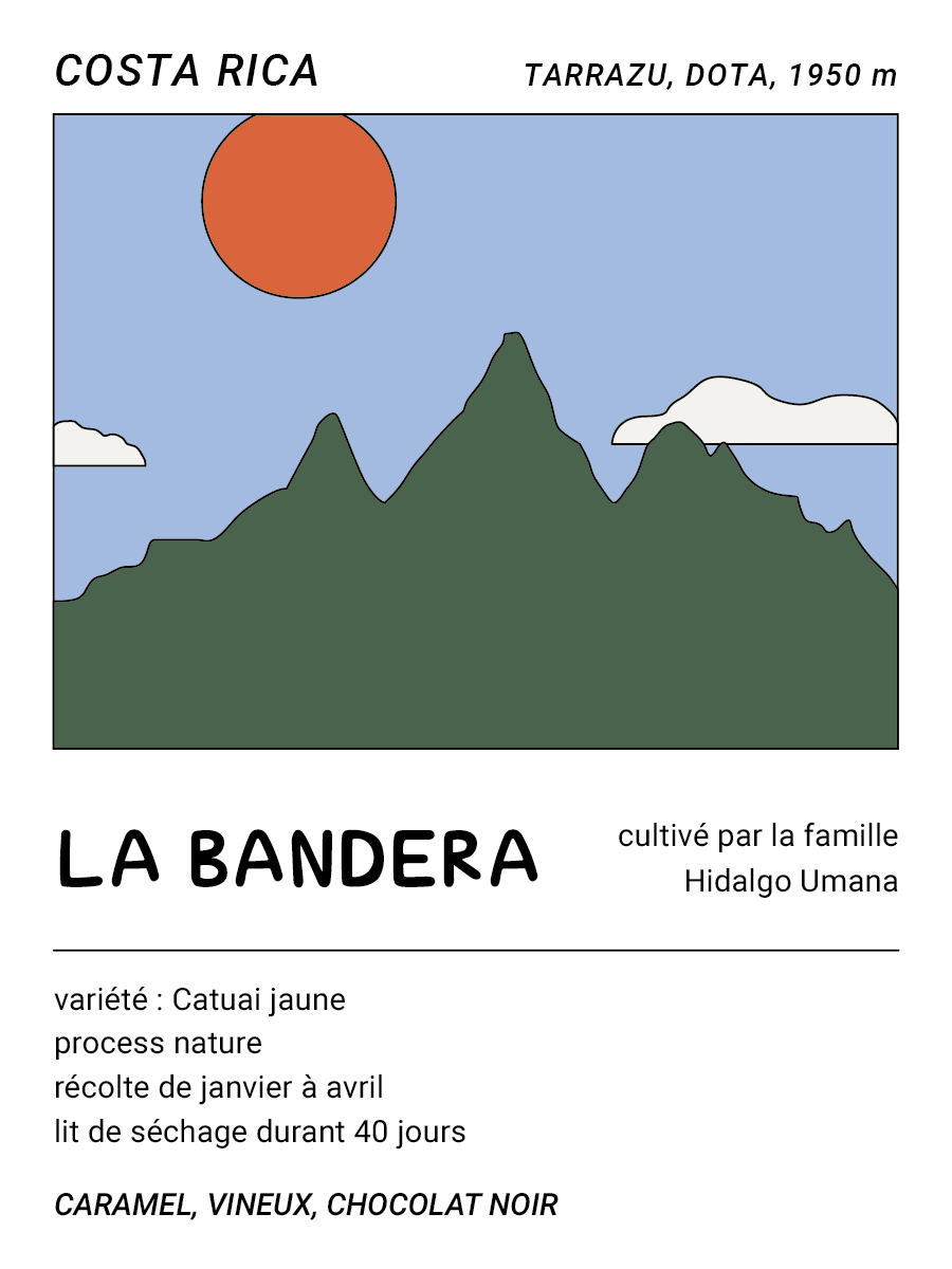 Coffee label with mountain scenery illustration.