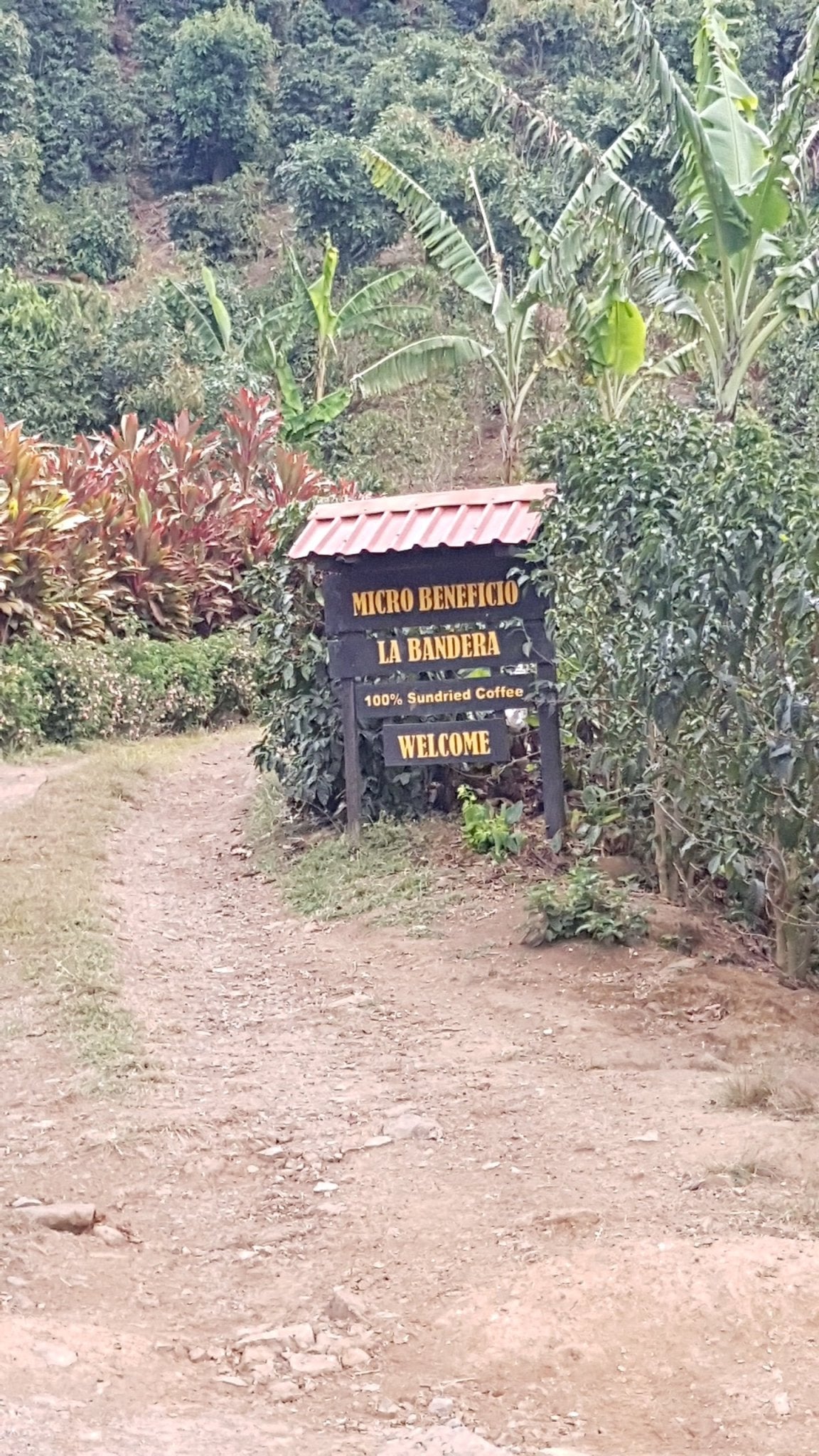 La Bandera (Tarrazú, Costa Rica) - L'autre café