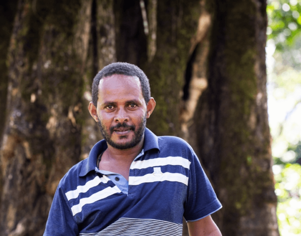Portrait de Mesfin Dabessa, producteur de café à Limmu Kossa, devant un grand arbre.