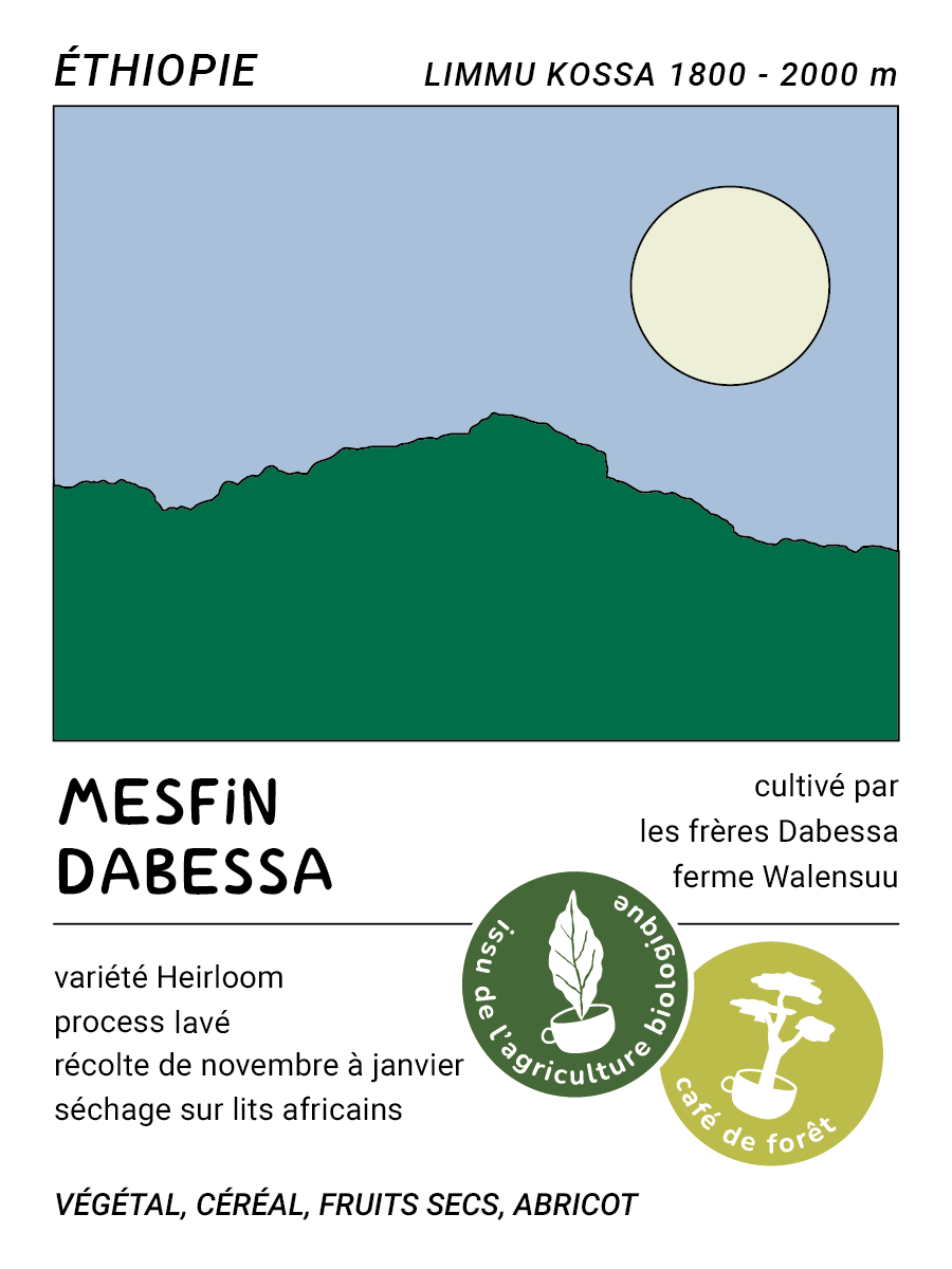 Étiquette du café Mesfin Dabessa (Éthiopie) avec origine Limmu Kossa, notes de dégustation et process lavé
