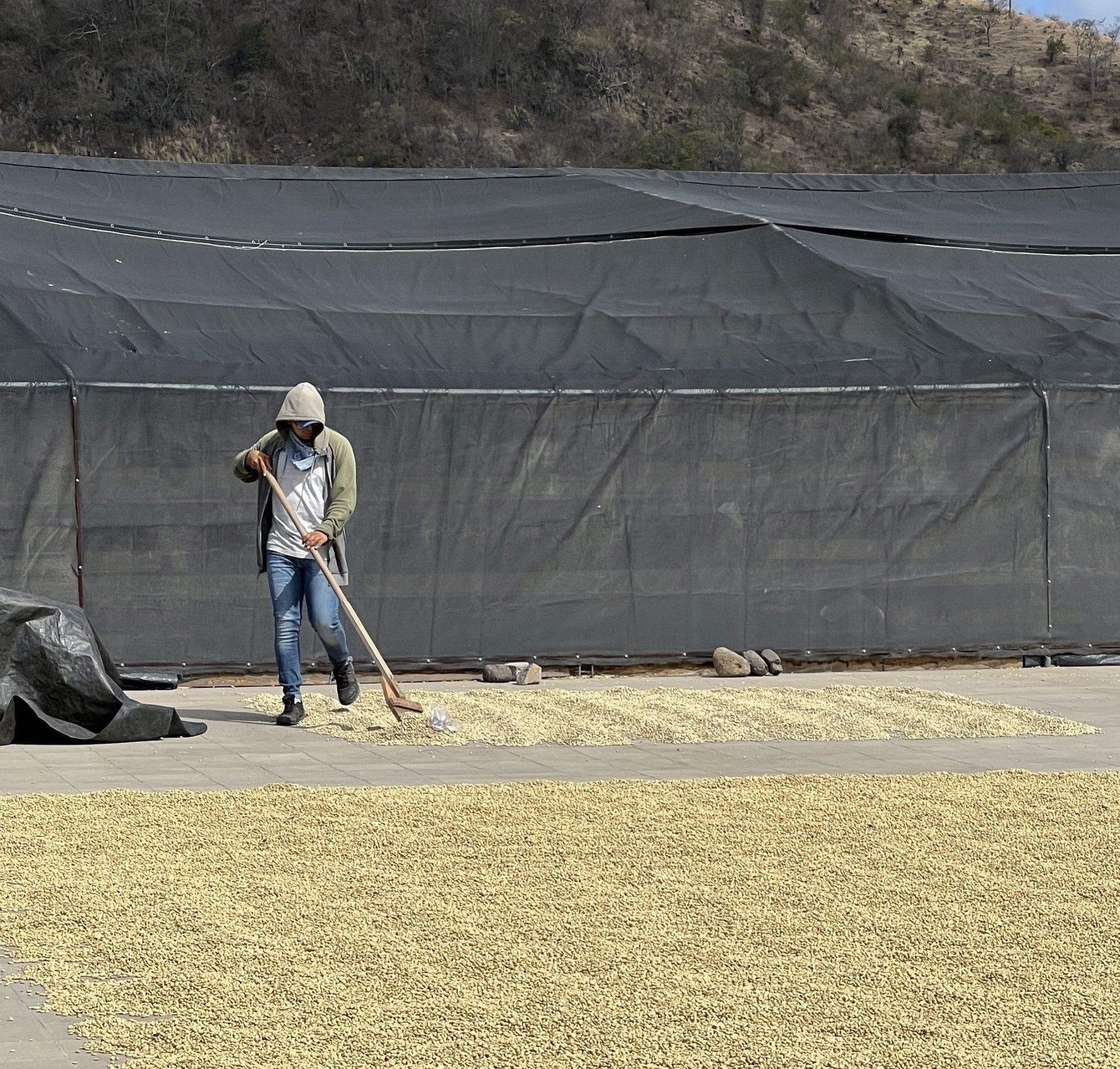 Mombacho (Nueva Segovia, Nicaragua) - L'autre café