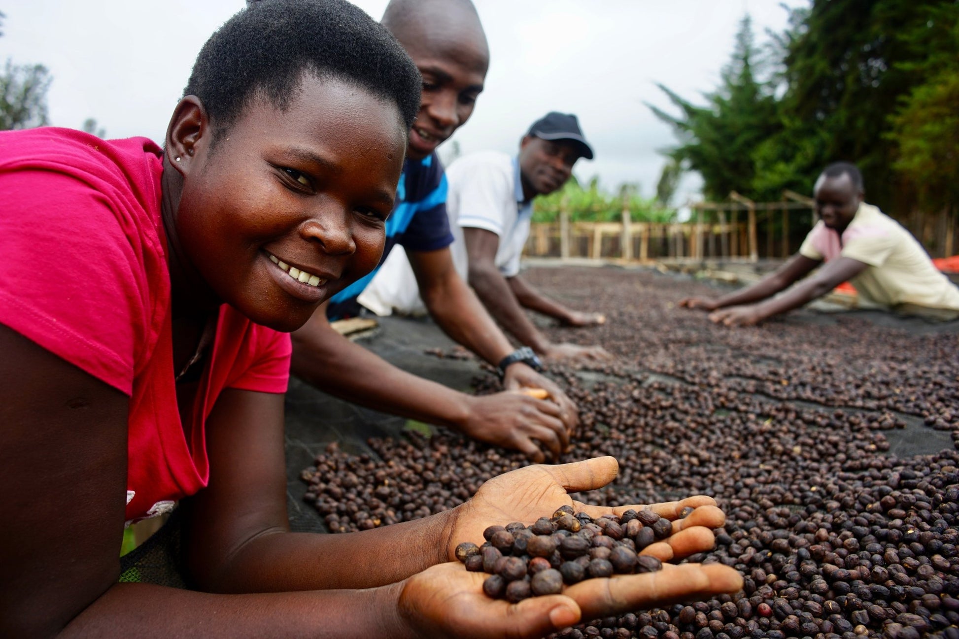 Namisuni (Ouganda) - L'autre café