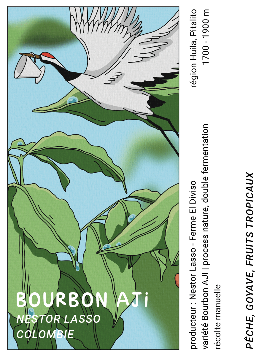Nestor lasso Bourbon aji (Colombie) - L'autre café