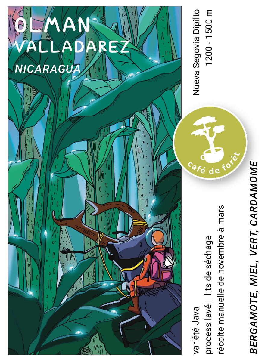 Étiquette du café Olman Valladarez, Nicaragua, avec informations du lot et de la variété Java