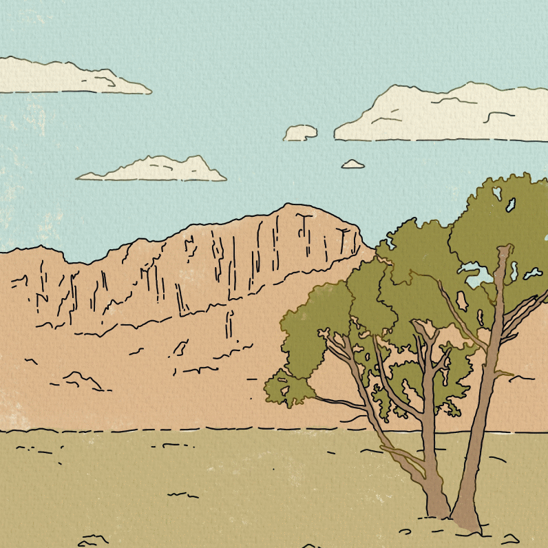 Oromo Citro (Yirgacheffe, Éthiopie) - L'autre café