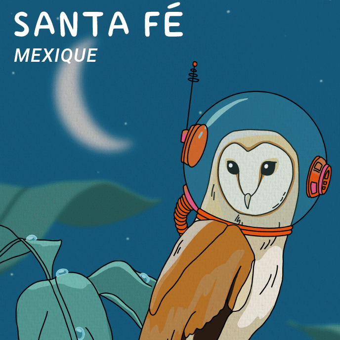 Santa Fé Décaf (Mexique) - L'autre café