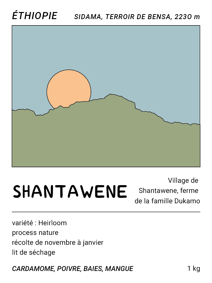 Illustrated coffee packaging with a sunset over mountains.