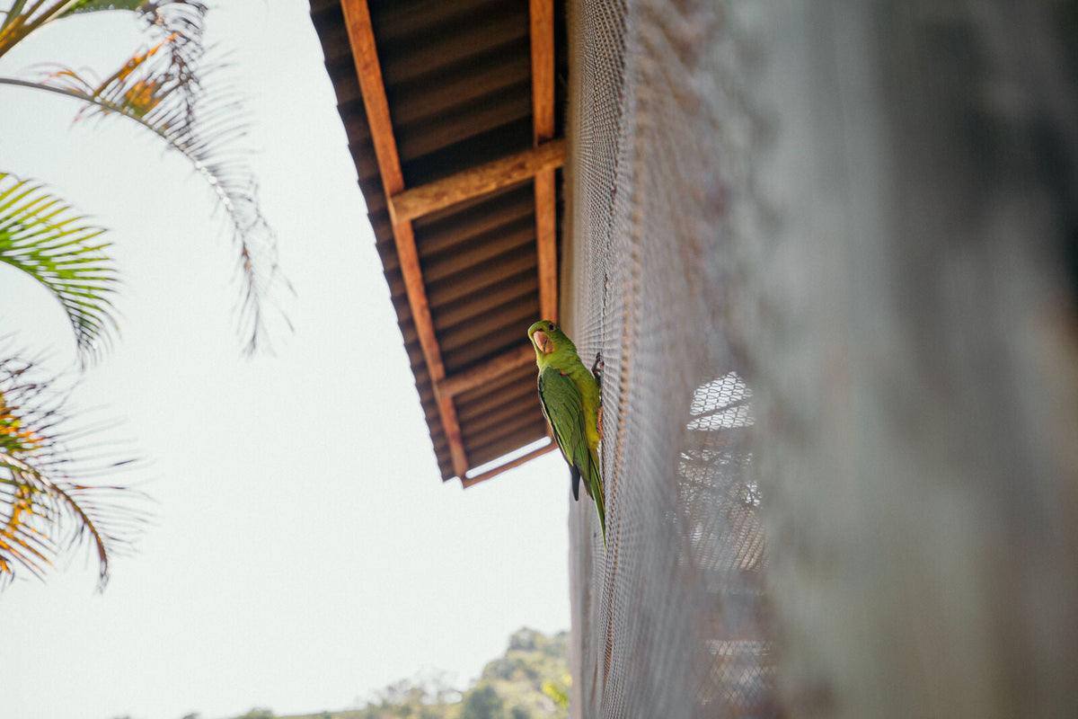 Fenêtre en bois sur un bâtiment blanc de la Fazenda Vila Boa